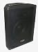 Nady MPA-30 Power Speaker System for use with Karaoke Systems and iPod