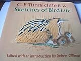 Sketches of bird life