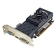 PNY GF630GT1GESB Carte graphique Nvidia GT 630 1000 Mo- PCI-Express 2.0