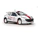 Peugeot 207 S2000 RCup (Geneva Motor Show 2006) in White (1:18 scale) Diecast Model Car