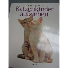 Katzenkinder aufziehen