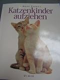 Katzenkinder aufziehen