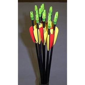 Archery Fibreglass Arrows - set of 12 - 30"
