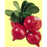 Bunch Of Radishes