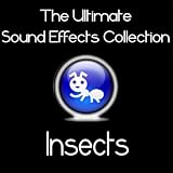 Dr. Sound Effects Ultimate Sound Effects Collection - Insects