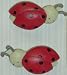 Lady Bug - Drawer Knobs: 2 per Pack