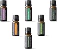 Kis Oil'S Top 6 Therapeutic Grade Essential Oil Gift Set, 10 ml (Lavender, Tea Tree, Eucalyptus, Lemongrass, Orange, Peppermint)