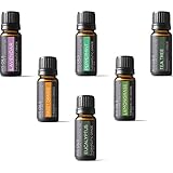 Kis Oil'S Top 6 Therapeutic Grade Essential Oil Gift Set, 10 ml (Lavender, Tea Tree, Eucalyptus, Lemongrass, Orange, Peppermint)