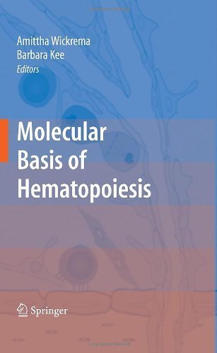 Molecular Basis of Hematopoiesis 1st edition by Wickrema, Amittha published by Springer Hardcover