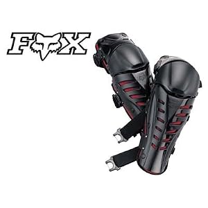 fox raptor
