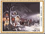Paint By Number Kit 20''x16''- White Sweet House