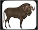 Mouse Pad with gnu, herbivore, herd, vitsvansad, zoo, migratory, African, animal, ungulate, horns, captivity, wildebeast, mammal
