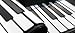 New! Hand Roll Piano 61 Standard Keys Portable Roll up Electric Piano