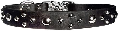 The Buccaneer Chrome Dome Studs Waterproof Poly Collar with Metal Clip Fastener