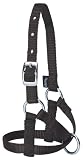 HLTR NYL ALPACA 5/8IN AV BK