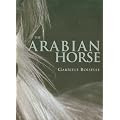 The Arabian Horse