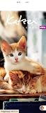 Whiskas Katzenleben 2011. Kalender: Mit Jahresübersicht 2010