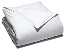 Pike Street 330-Thread Count Swiss Dot Cotton Down Alternative Comforter