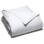 Pike Street 330-Thread Count Swiss Dot Cotton Down Alternative Full/Queen Comforter