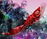 Fish Windsock, Koinobori 79 inch Red #KN005