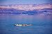 Man Floating at the Dead Sea, Israel - 36W x 24H - Peel and Stick Wall Decal by Wallmonkeys