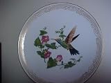 Broad-billed Hummingbird Collector Plate