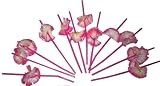 Straws Flower 12 pc