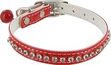 Cheap  Hollywood Rhinestone Dog or Cat Collar with Bell by Kakadu Pet, Small, 3/8