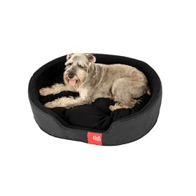 Poi Dog� Luxury Oval Dog Bed Medium - Nest Black Dog Beds (32")