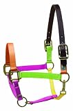 Perri's Pony Premium Nylon Safety Halter, Multi Neon