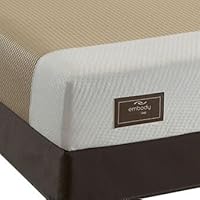 Sealy Embody Introspection Memory Foam Mattress - King