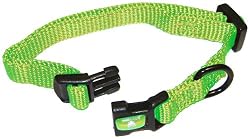 Hamilton 3/8" Adjustable Dog Collar, Extra Small, Fits 7"-12", Lime Green