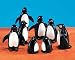 Penguins, Set Of 8