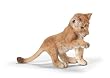Lion Cub, Playing