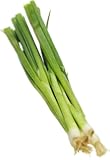 Organic Green Onion (Scallions), One Bunch
