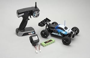 Radio Controlled RC Car Off Road Ripmax Jackal 1/18th Buggy EP by Ripmax
