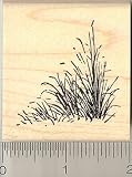Tall Grass Rubber Stamp Wood Mounted 41fIFkO9aSL. SL160 Tall Grass Rubber Stamp Wood Mounted