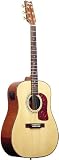 Washburn DK20T w/ Deluxe Gig Bag Acoustic Guitar with Built In Tuner