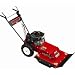 Swisher Self-Propelled Walk-Behind Mower - 24in. Cutting Width, 11.5 HP, Model# WB11524