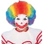 Multi Color Clown Costume Wig