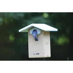 Birds Choice Recycled Ultimate Bluebird House w Camera by 