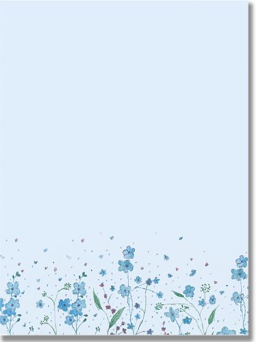 External hard drive:Blue Flowers (Letter-Perfect Stationery)