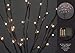 Hi-Line Gift LtdFloral Lights Lighted Willow Branch with 30 bulbs, 20 inches (Battery operated)