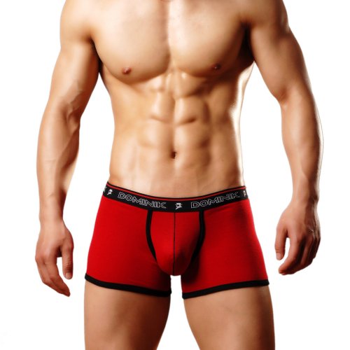 Dominik Boxer Trunk Underwear, Mens