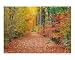 Autumn Pathway Emerging Artists Photographic Poster Print by Gina Signore, 10x8 Image