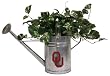 Oklahoma Sooners Watering Can - NCAA College Athletics - Fan Shop Sports Team Merchandise