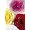 Rose Serving Bowls (Set of 4)