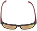 Spy Optic Helm Cherry Bomb Wayfarer Sunglasses