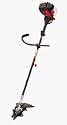 Troy-Bilt TB590BC 18-Inch 29cc 4-Cycle Gas Powered Straight Shaft String Trimmer/Brush Cutter With Detachable Shaft