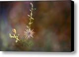 10 Canvas Print / Canvas Art - Artist Mark Ross